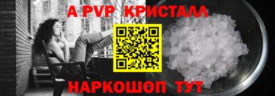 спайс Малгобек