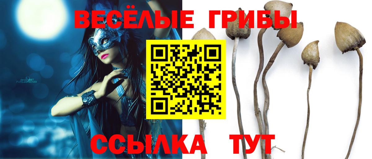 Псилоцибиновые грибы ЛСД Черкесск