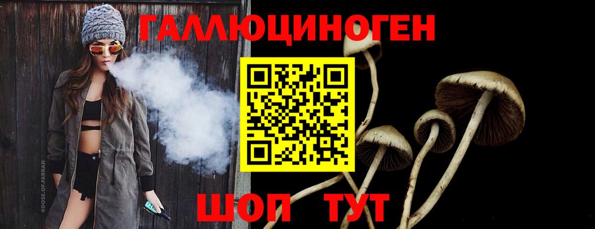 Псилоцибиновые грибы ЛСД  Вход с VPN  Черкесск 