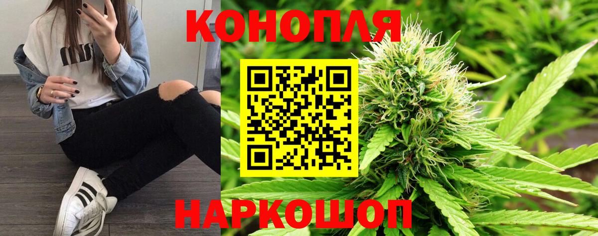 Бошки Шишки OG Kush Черкесск